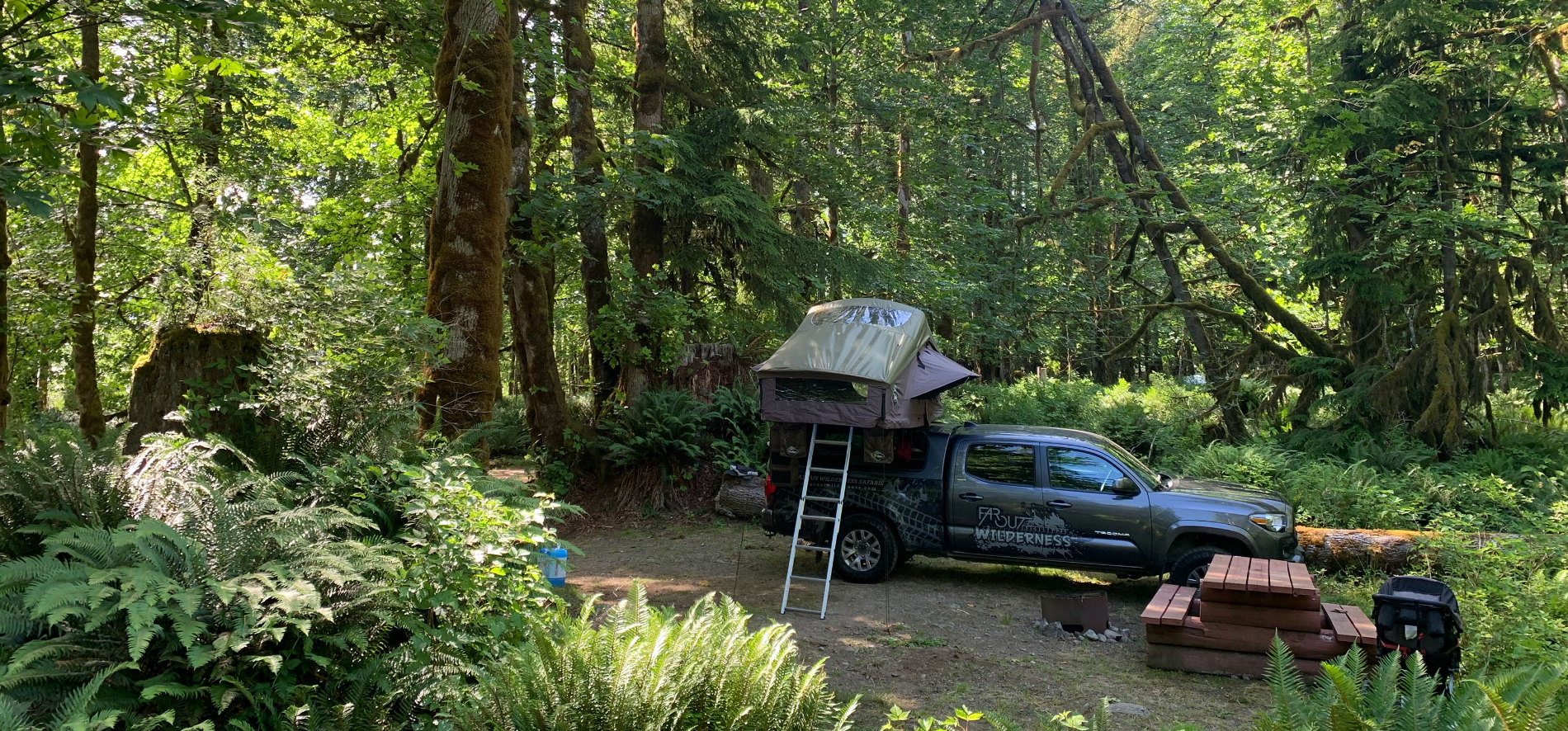 Camping without a reservation on Vancouver Island