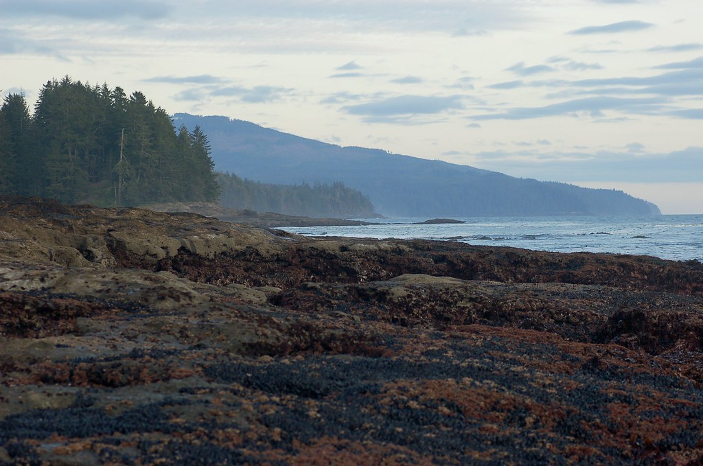 Botanical Beach