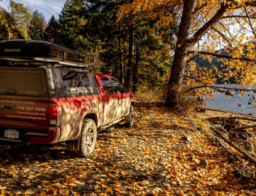 Salmon Runs and Wild Skies: A Cozy, Wild Fall Escape on Vancouver Island