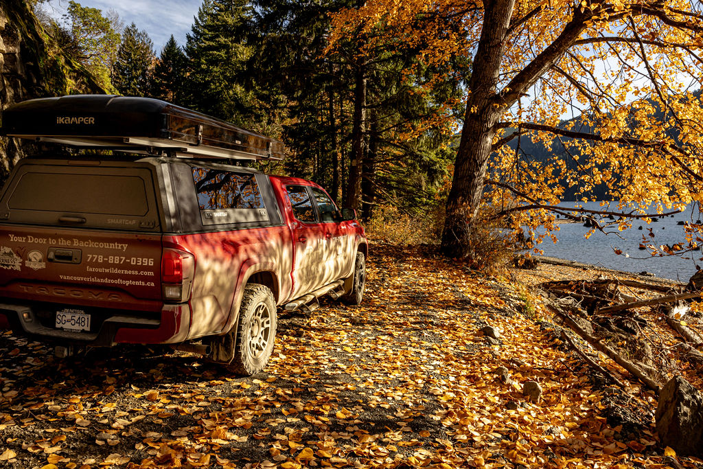 A Cozy, Wild Fall Escape on Vancouver Island