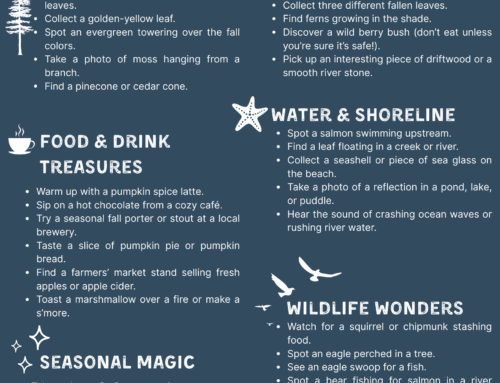Fall on Vancouver Island: Your Ultimate Scavenger Hunt