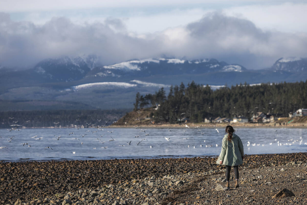 Point Holmes near Comox, BC Comox Valley