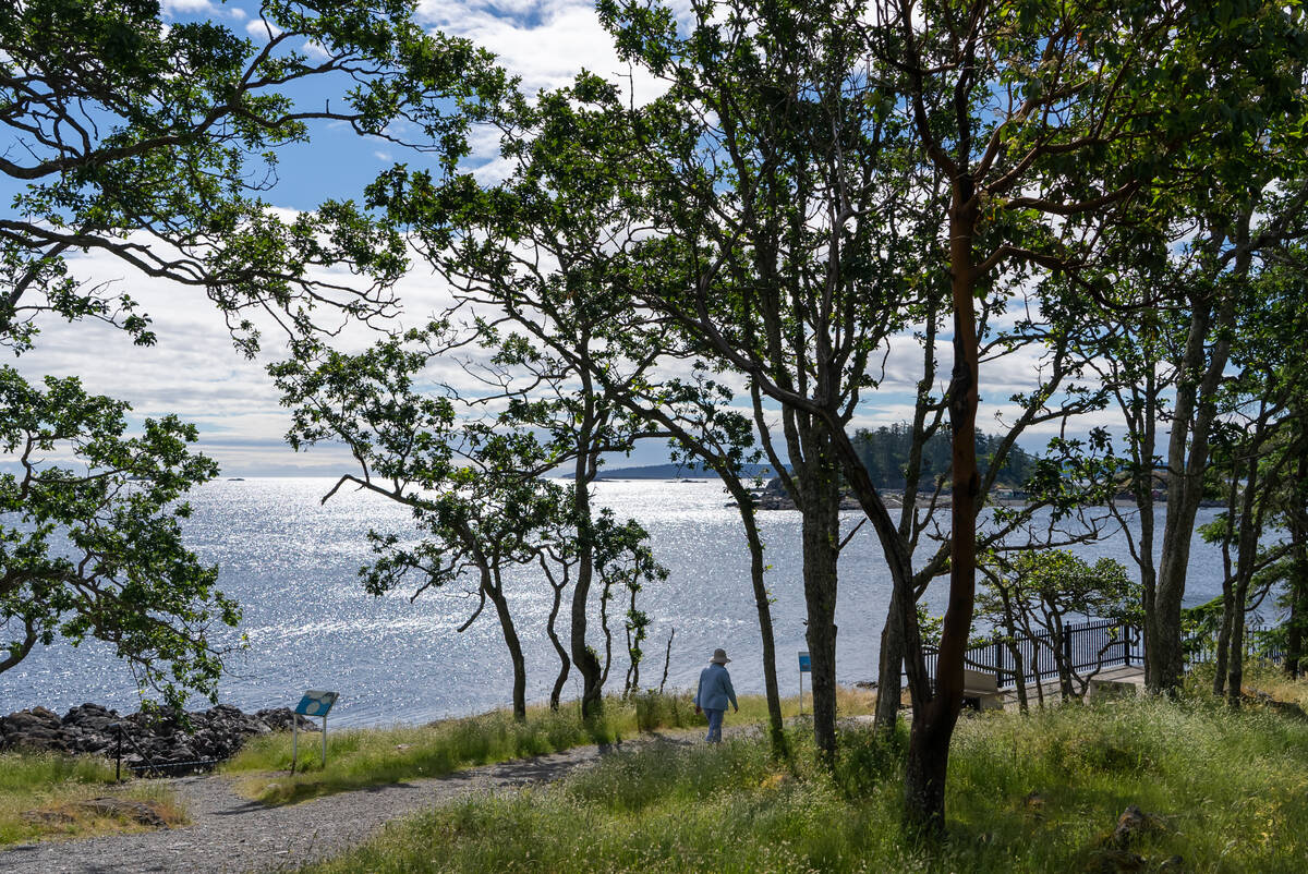 Spring Road Trips in BC