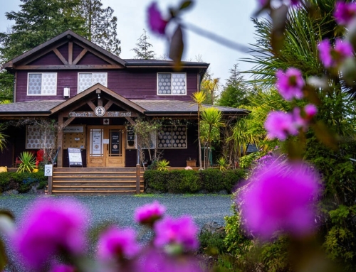 Island in Bloom: A Week Exploring Vancouver Island in Spring