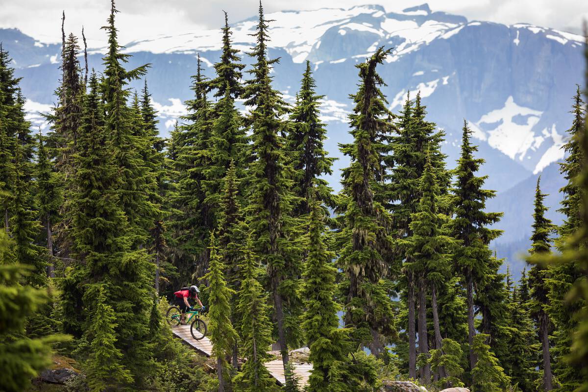 A mountain biker on the Wizard bike trail at Mt Washington