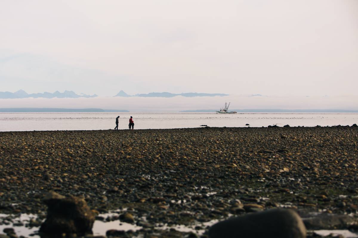 Beach walks in Campbell River Campbell River