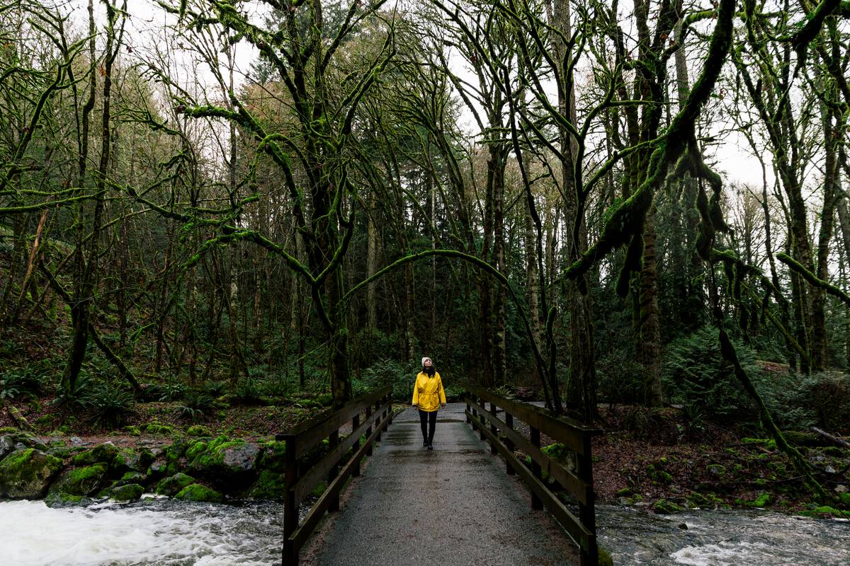 Person crossing a bridge at Goldstream Provincial Park Goldstream