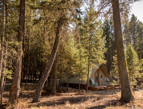 What to Do If You Didn’t Get a National Park Reservation in Canada