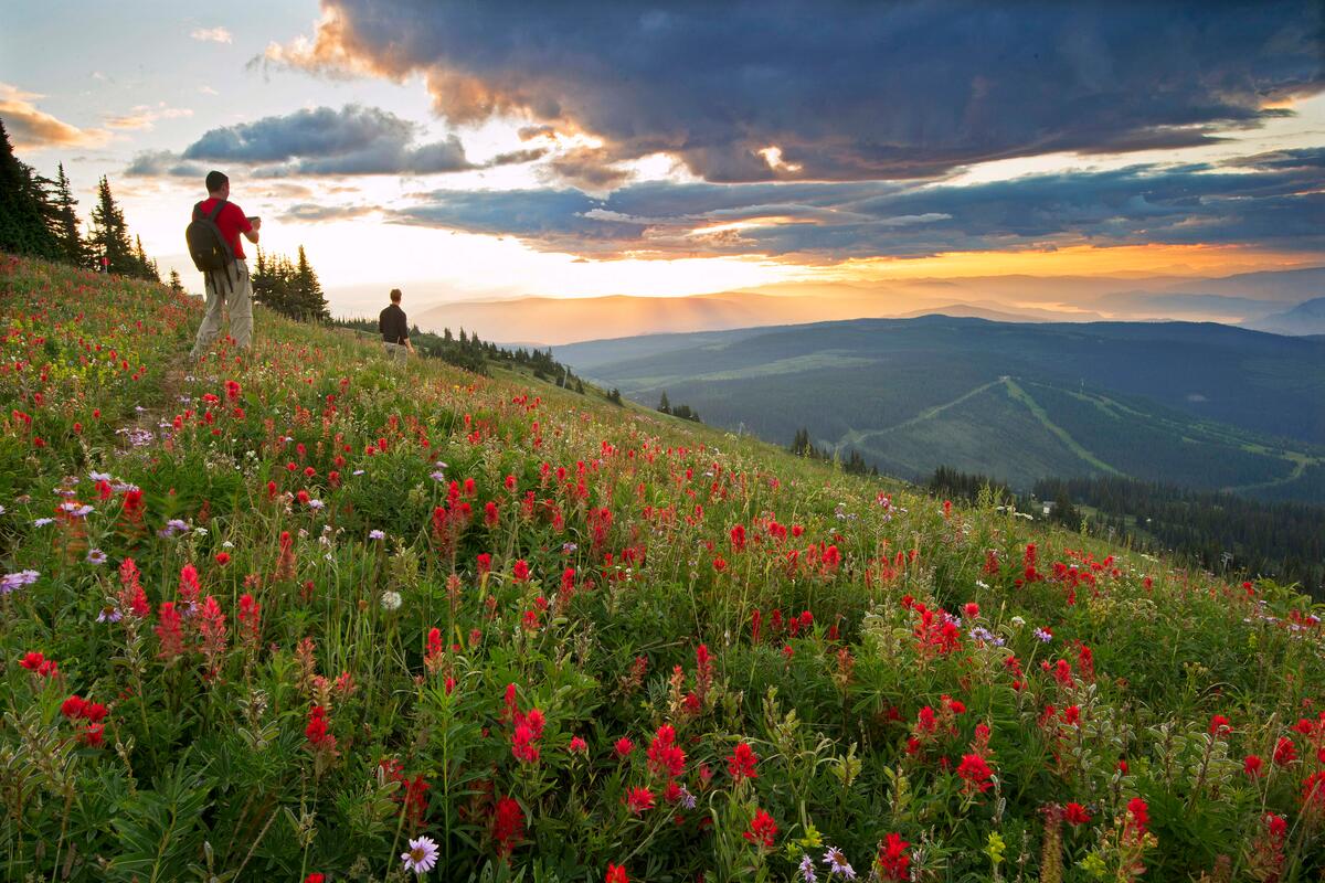 Small-1200px-124842 Sun Peaks summer
