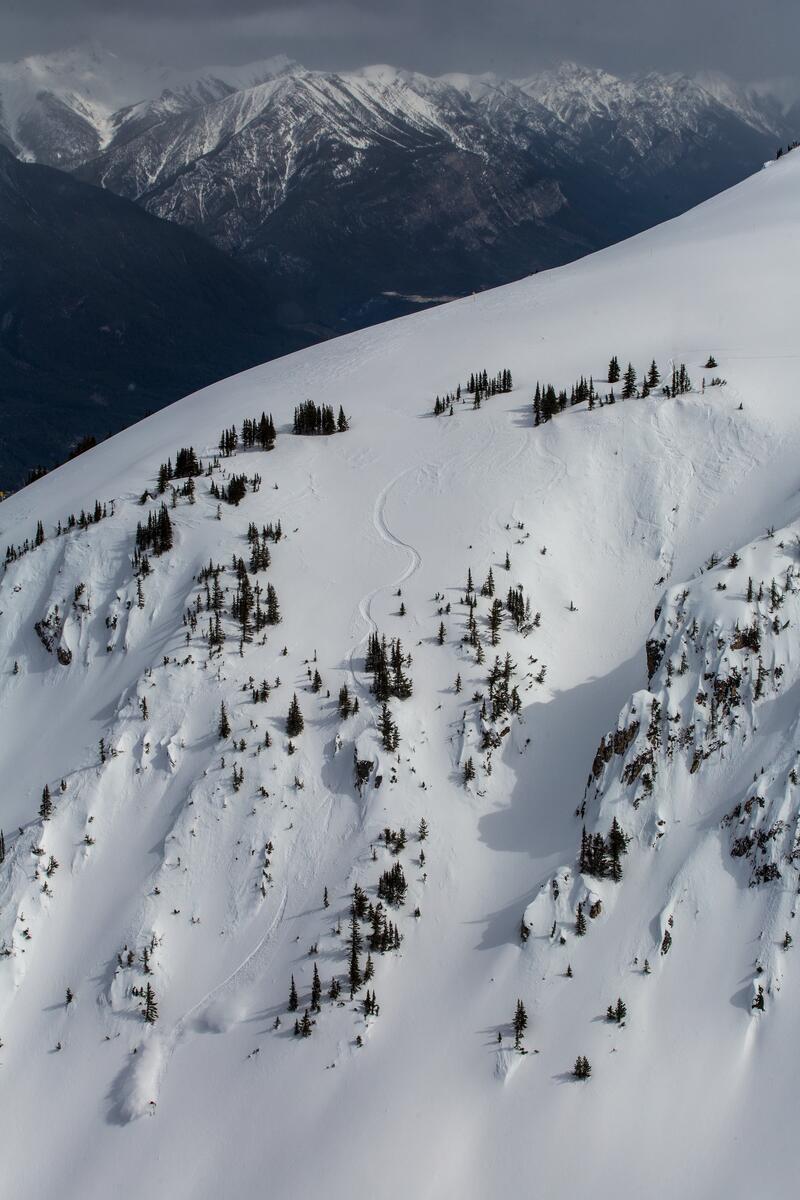 Small-1200px-25178 Kicking Horse